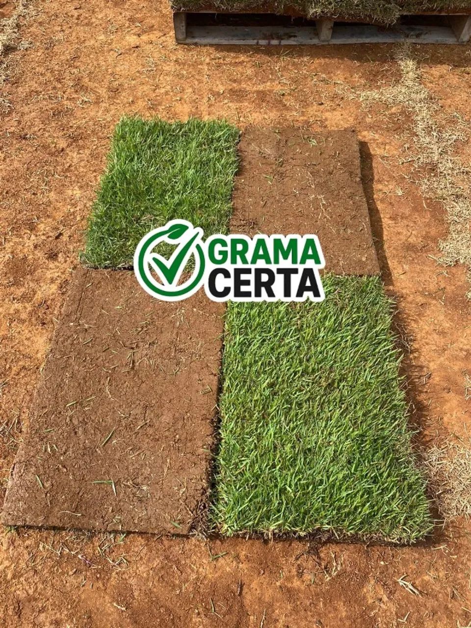 Grama Esmeralda - Campinas e Região