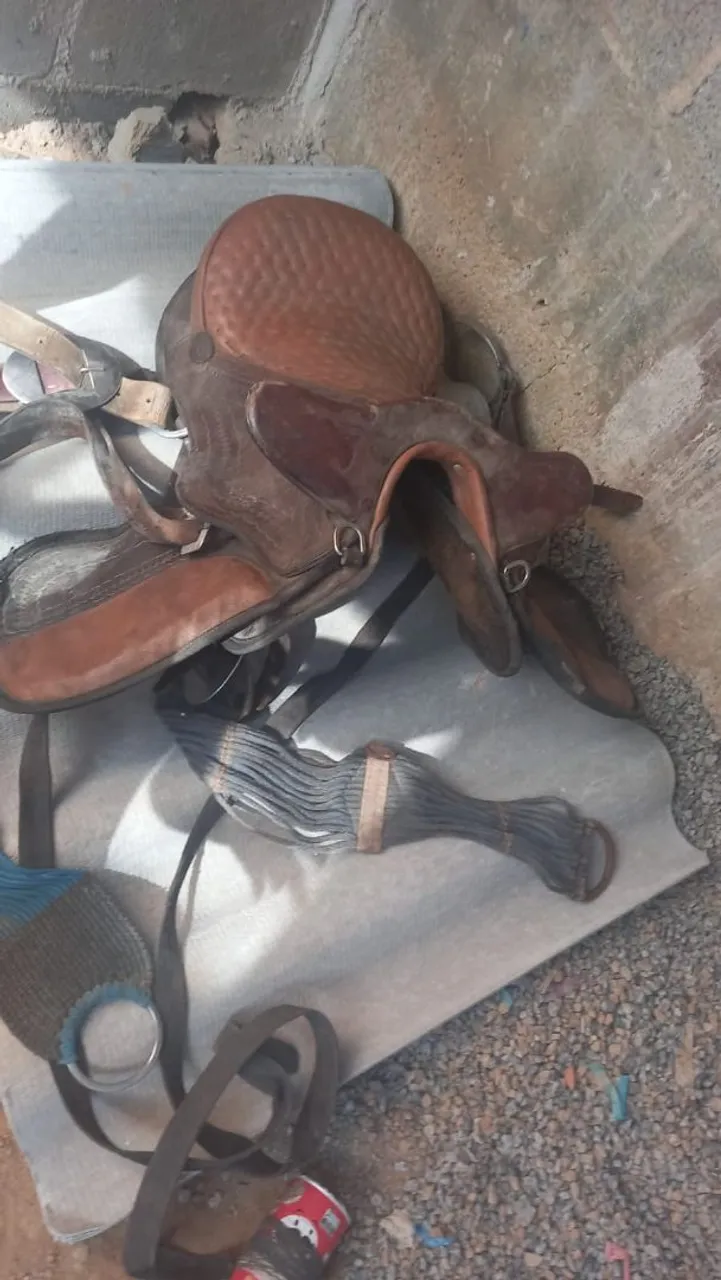Sela de Cavalo