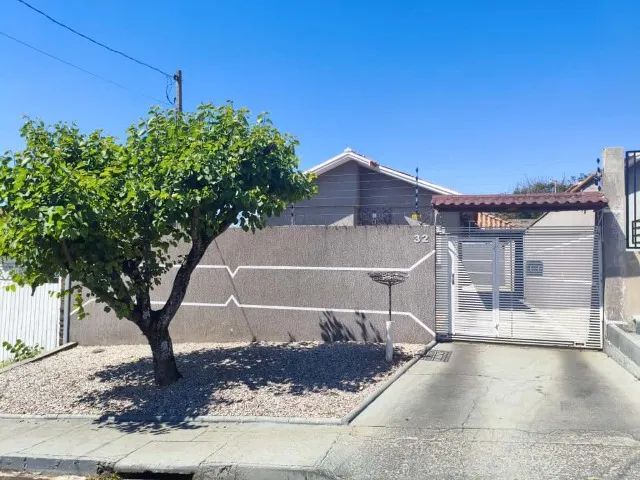 Foto - Ponta Grossa - Cará-cará