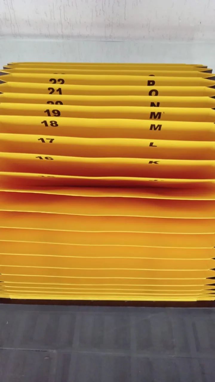 PASTA SANFONADA