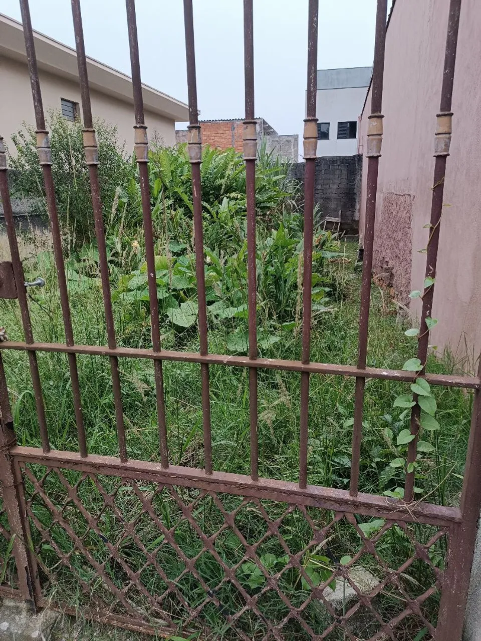 Terreno