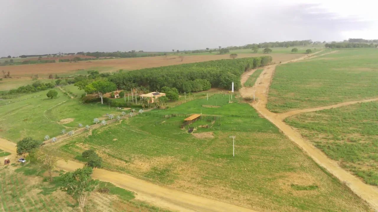 Sítio para venda 18 alqueires, casa com 120 m2 com 2 quartos em Centro - Buritama - SP - Foto 5