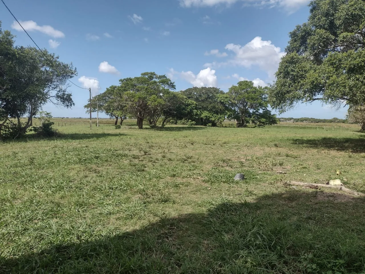 Excelente Fazenda legalizada, para venda em Quissamã - Rio de Janeiro.