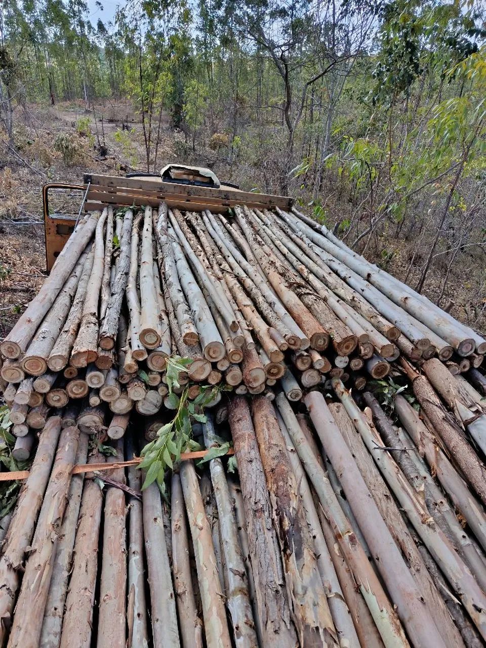 Paus de escoramentos, promoção! - Foto 3