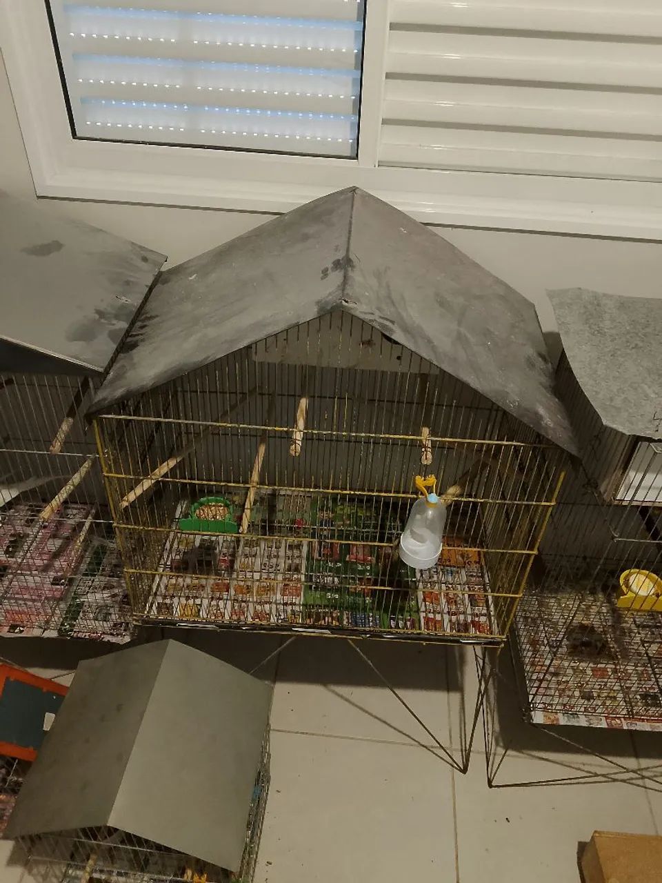 Viveiro 63824596845827121