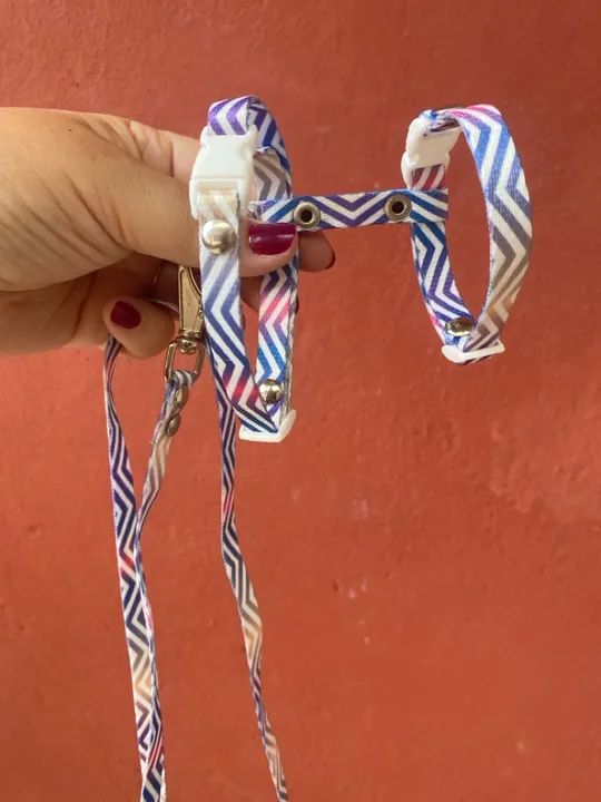 Coleira para animais Pequenos - Chevron Colorido - Foto 3