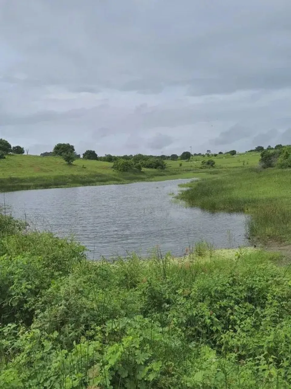 fazenda com 30 hectares na região de Monte Alegre
