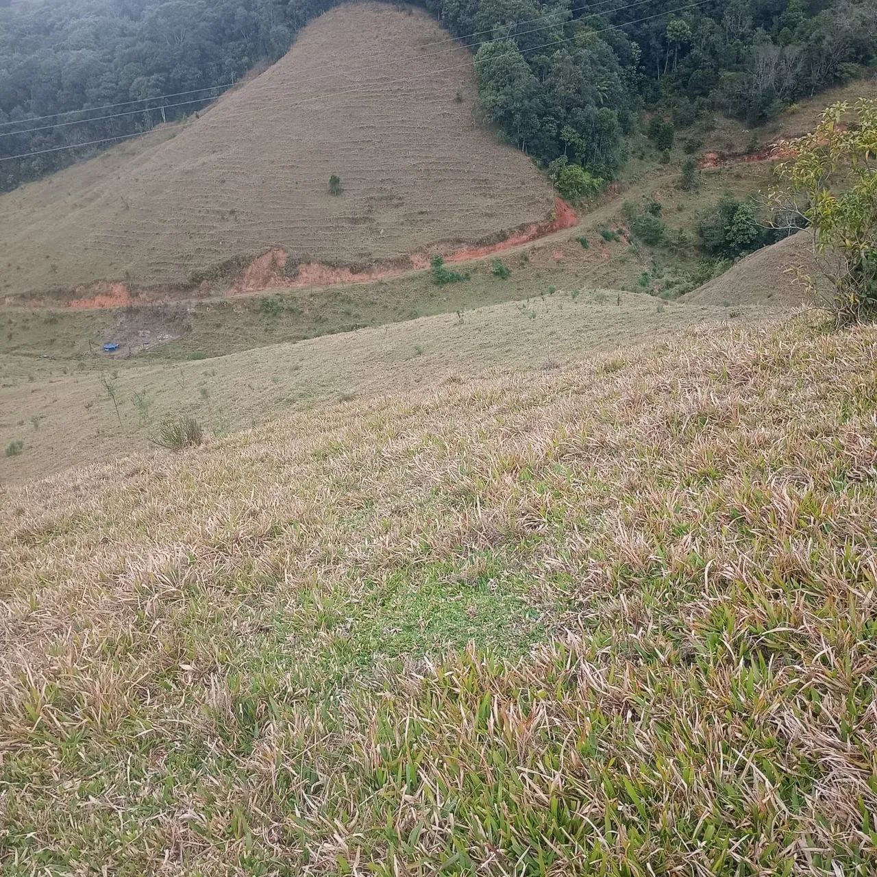 Tereno em Águas Mornas Rio Miguel  - Foto 3
