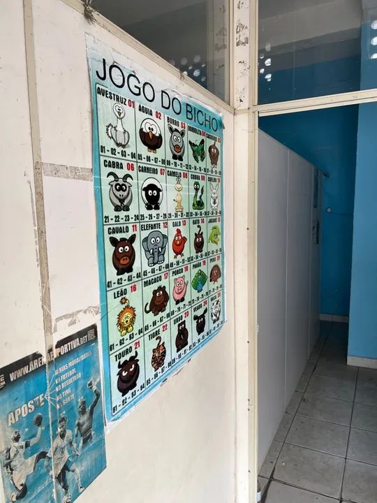 Imóvel comercial no Pero Vaz  - Foto 5