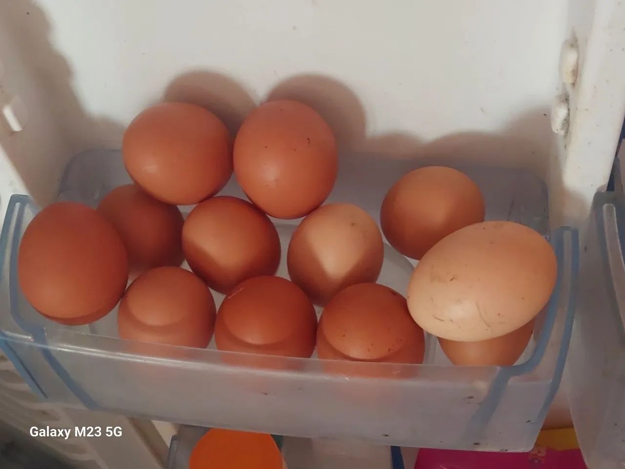 Galinha caipira - Foto 4