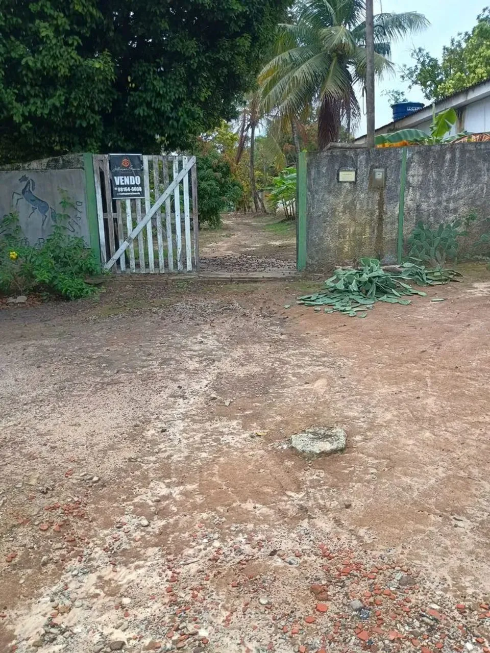 Oportunidade, Sítio em Maceió