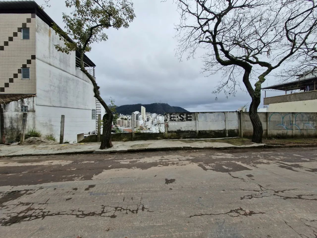 Lote / Terreno - Granbery - Foto 2