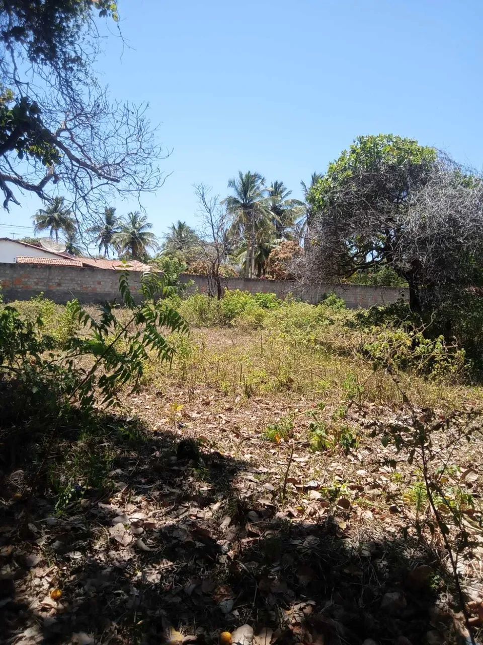 TERRENO NO MOSQUEIRO - MATAPOÃ [57941] - Foto 3