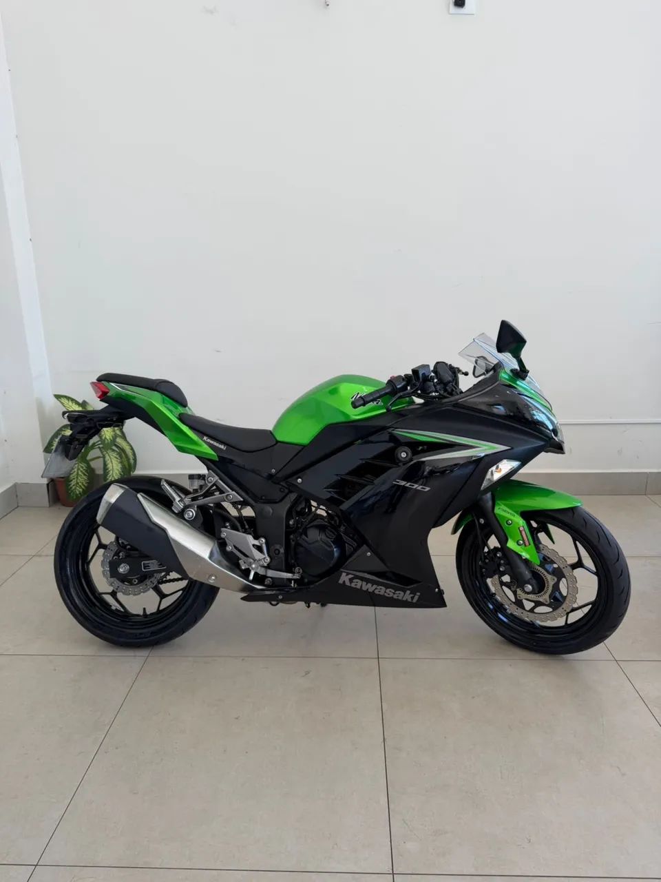 Ninja 300 