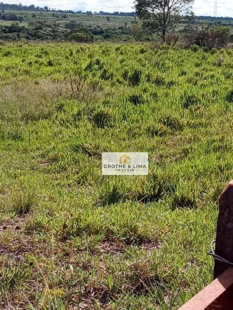 Vendo fazenda próximo a cidade de Arapoema e Wanderlândia - Foto 5