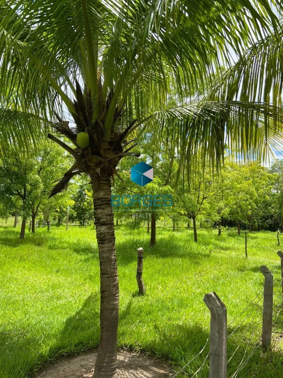 FAZENDA RURAL em ITABERABA - BA, ITABERABA - Foto 4