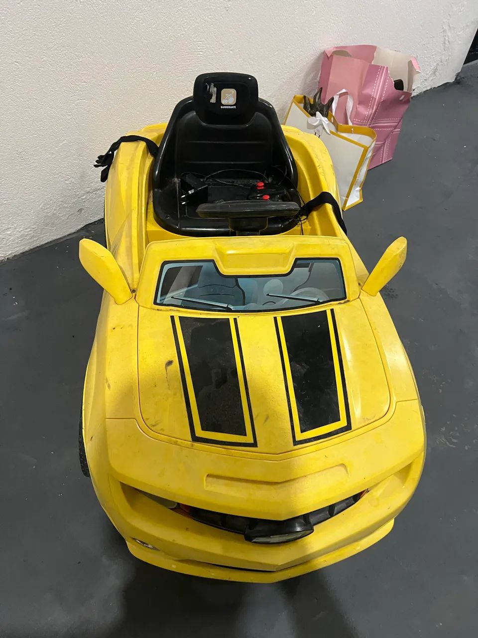 Carrinho de controle remoto completo, tem que trocar bateria 