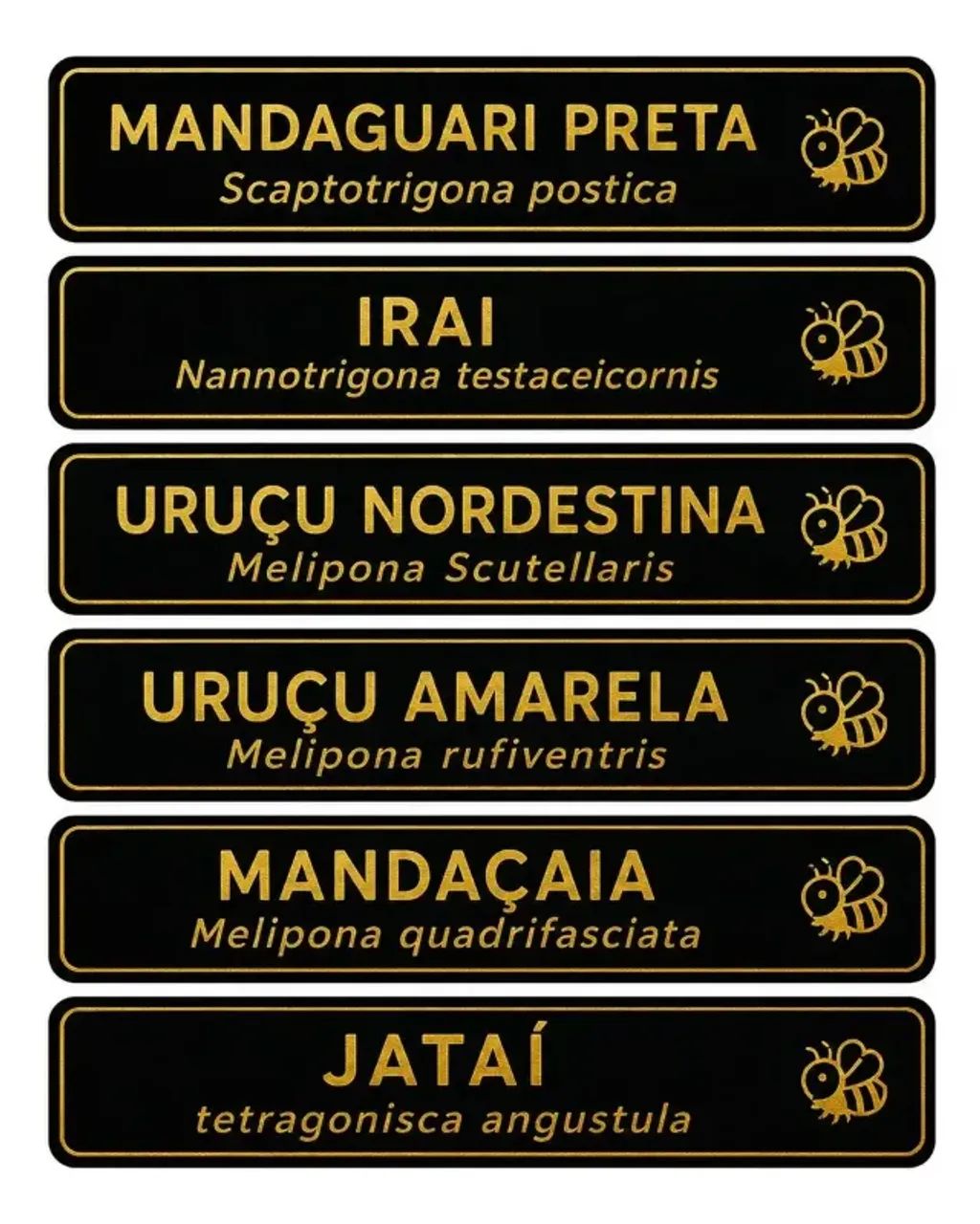 kit 4 Placa Identificação Para Caixa Abelha Sem Ferrão