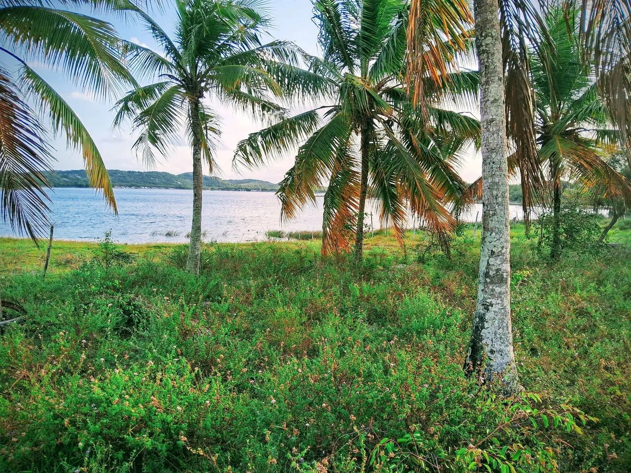 Sítio Em Santa Isabel pirambu - Foto 3