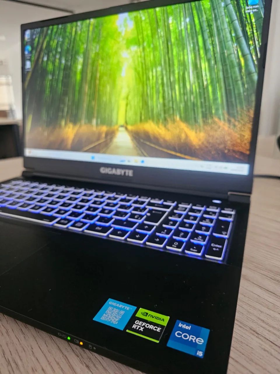 NOTEBOOK GAMER RTX 4060 8GB