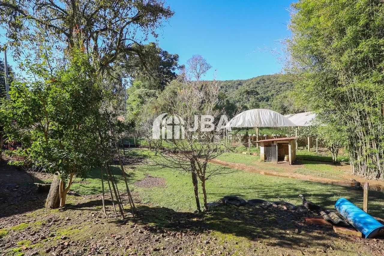 A TRANQUILIDADE DO CAMPO, PERTINHO DE CURITIBA! - Foto 4