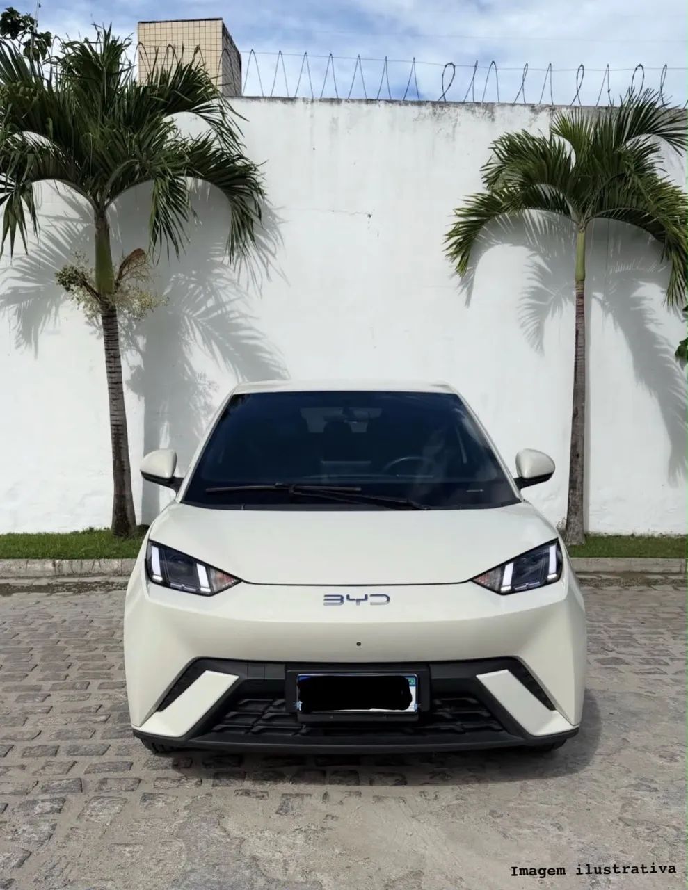 BYD Dolphin Mini (Elétrico) 2024 - Foto 3