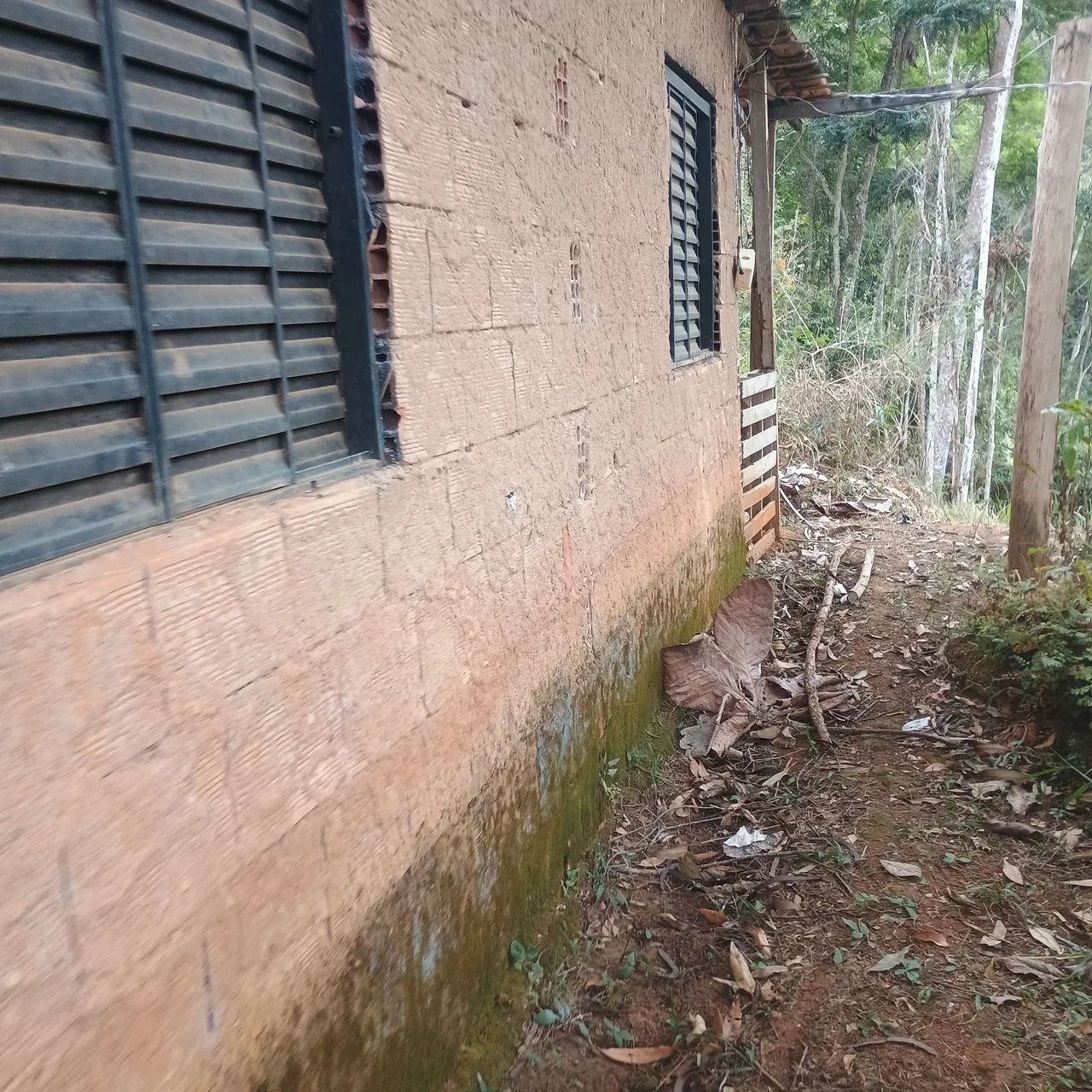 Sítio/terreno - Foto 4