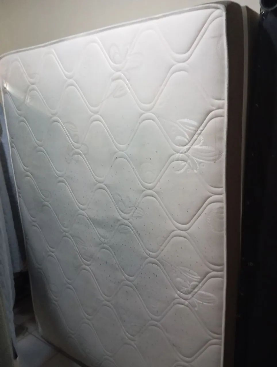 Cama