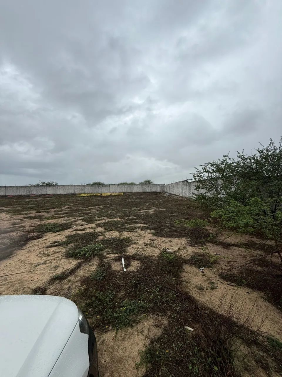 Canteiro com 10.000 m² Murado e Pronto para Grandes Projetos - Oportunidade Única - Foto 2