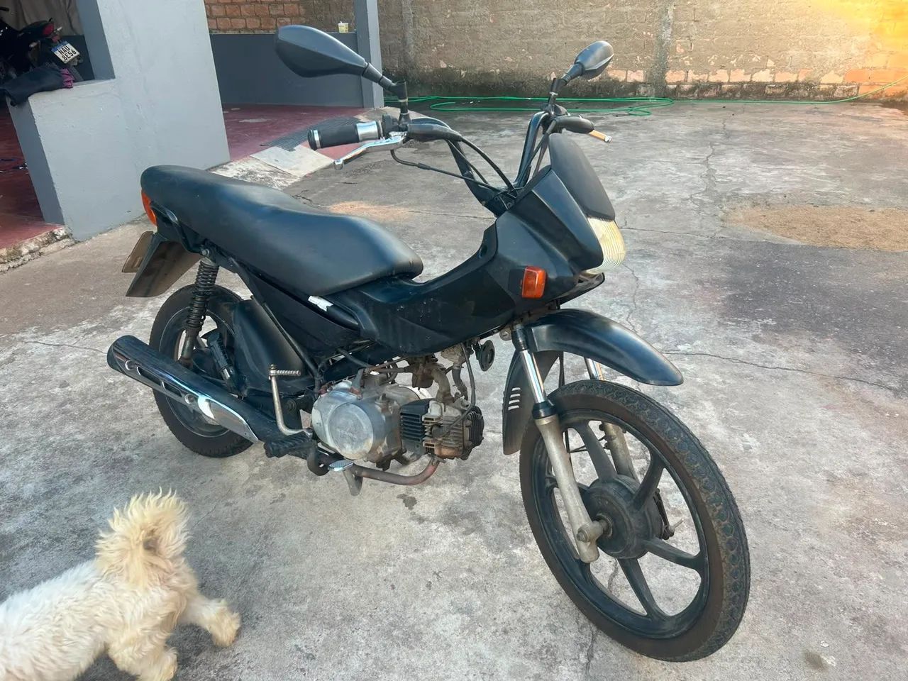 Pop 100 - Foto 2
