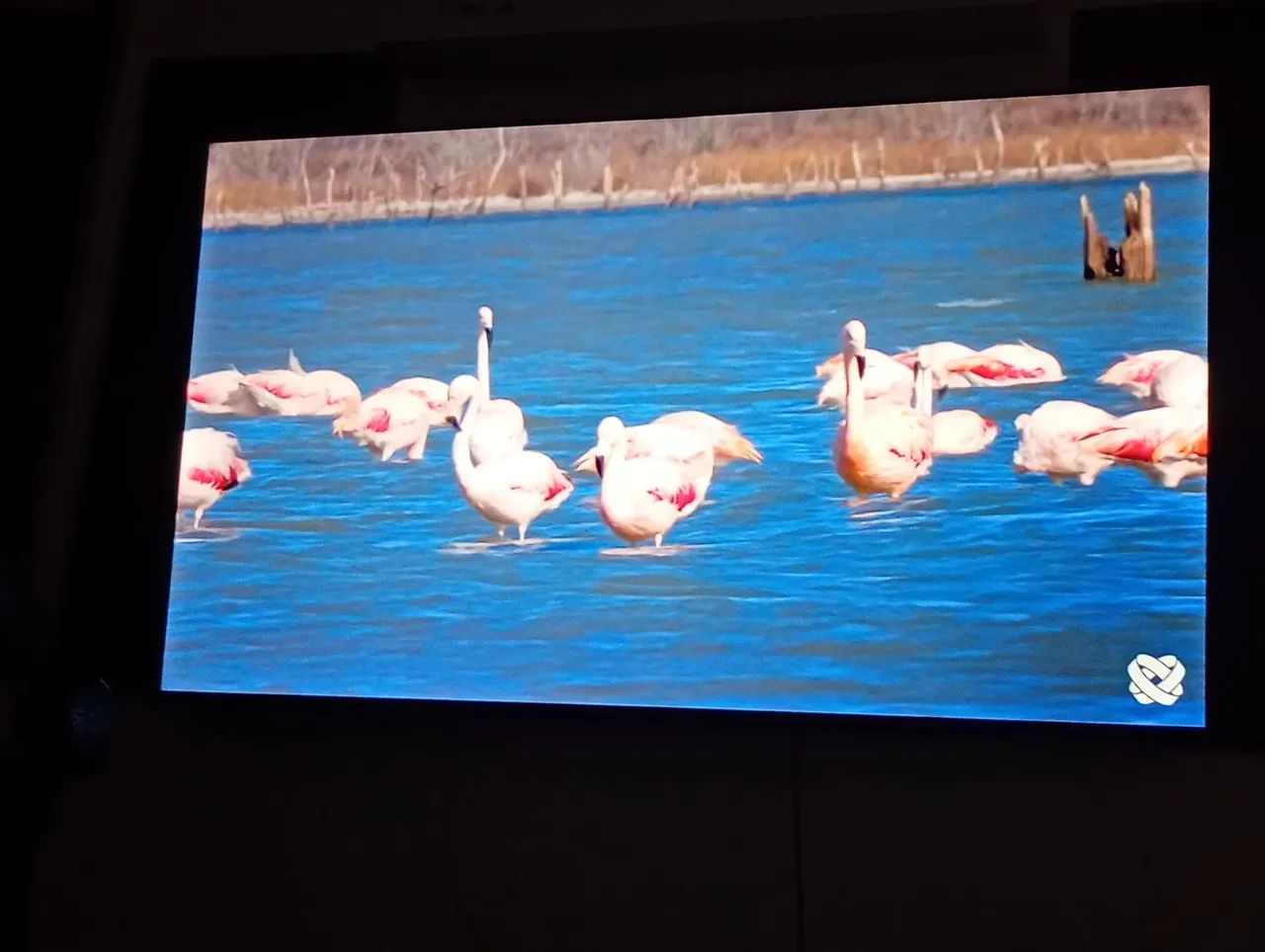 Vendo tv smart 58 polegadas, não tem nem um ano de uso perfeita valor 2400....aceito propo - Foto 3