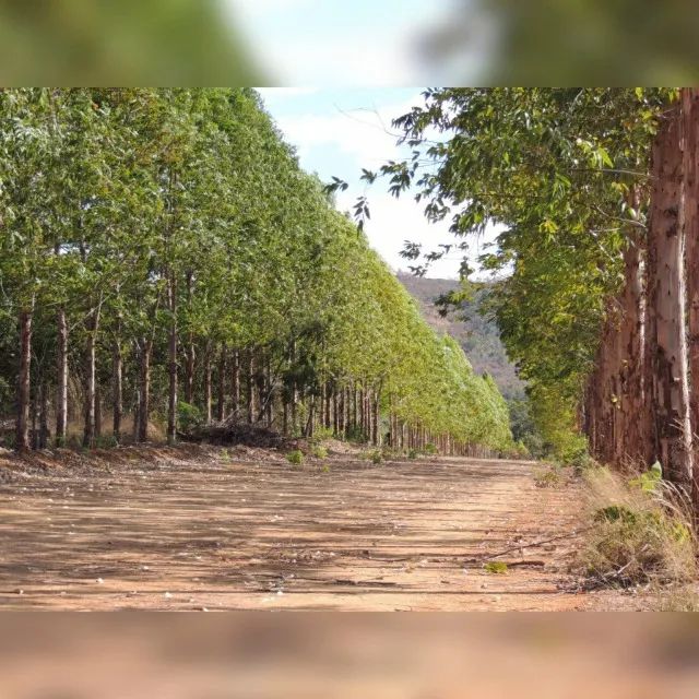 FAZENDA EM CHAPADA DA NATIVIDADE - TOCANTINS