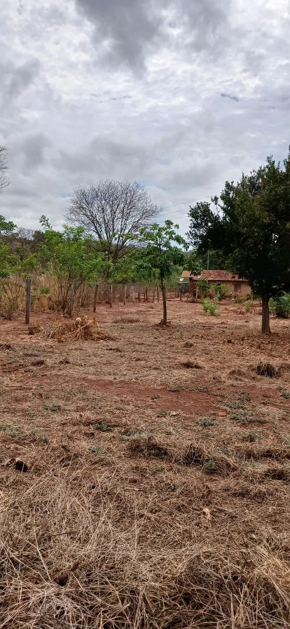 Sitio  - Foto 4