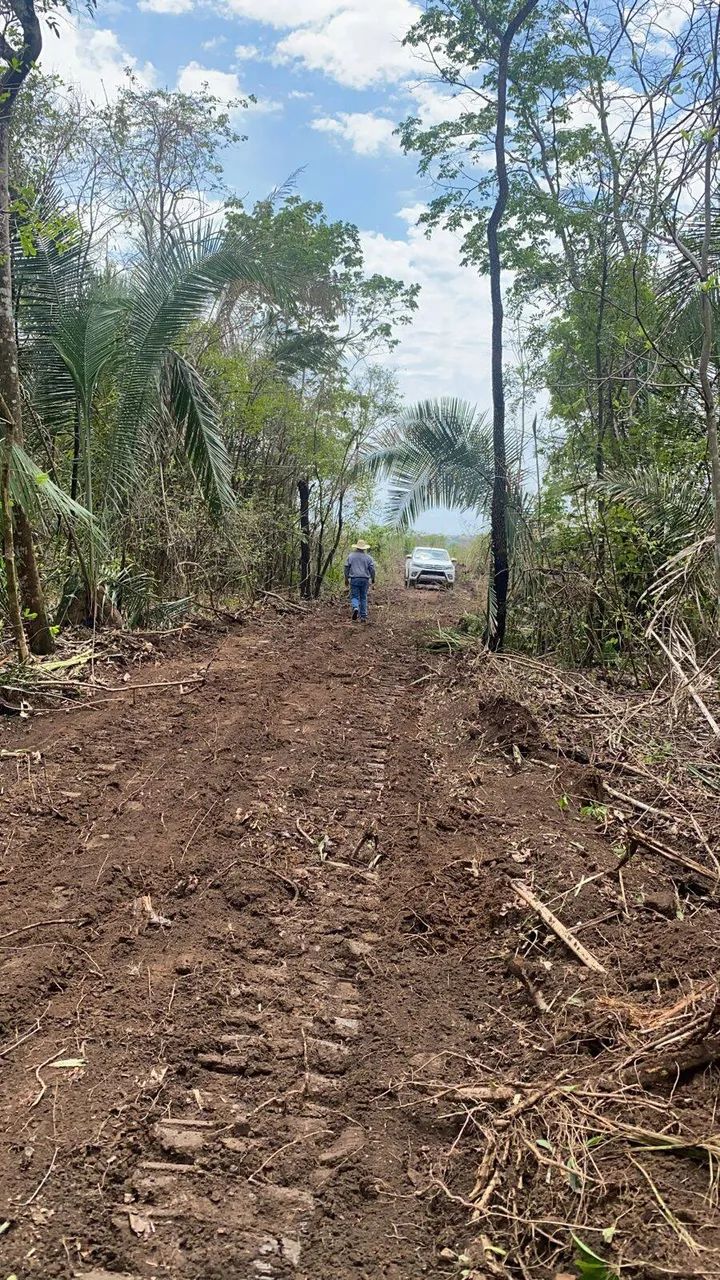 Fazenda dupla aptidão em Jaciara Mato Grosso - Foto 4
