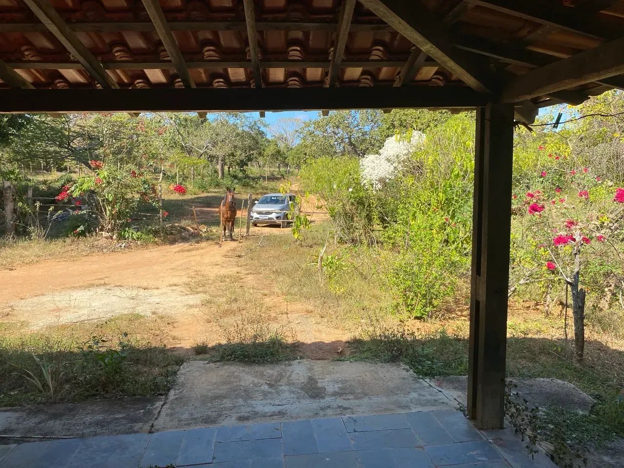 Fazenda 14 hectares codsburgo