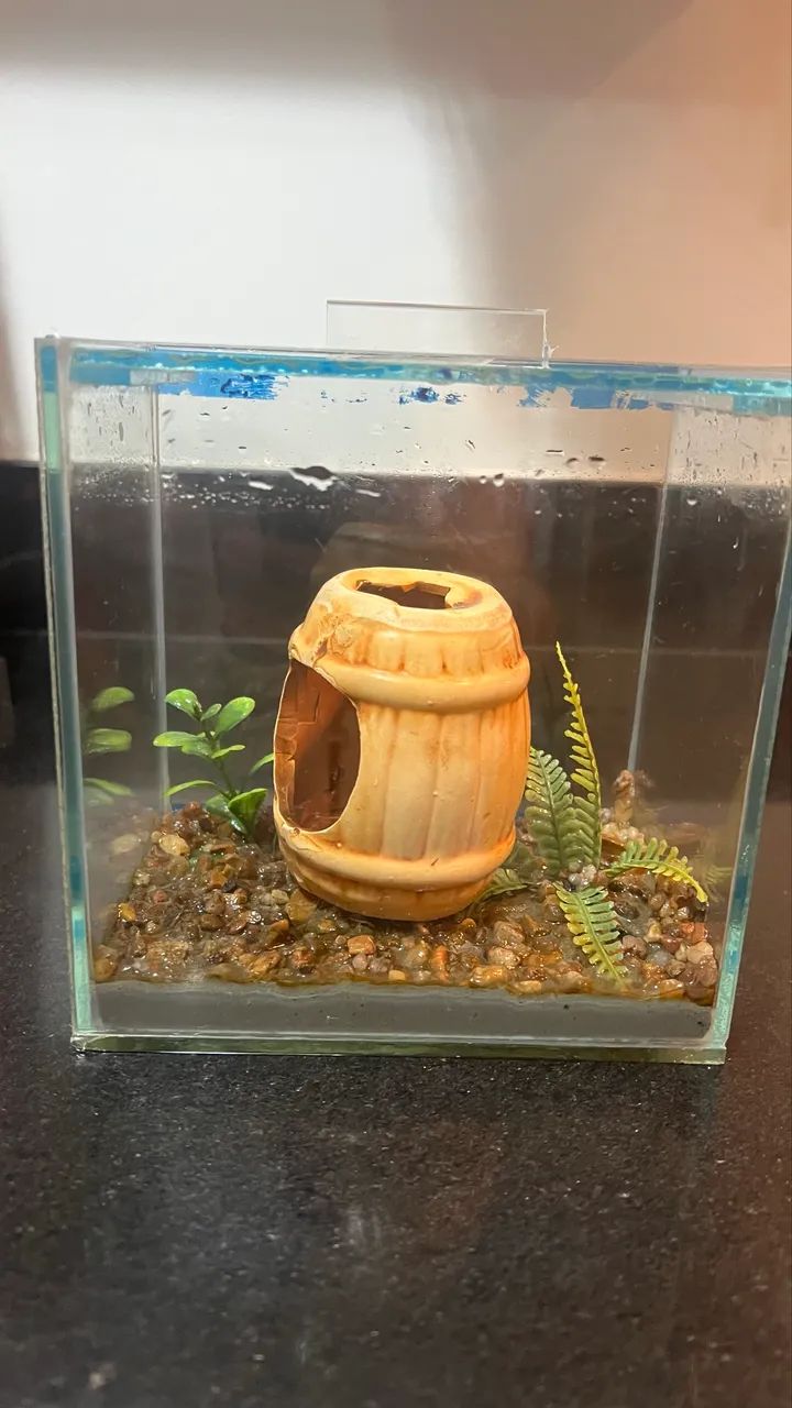 Aquário para peixe