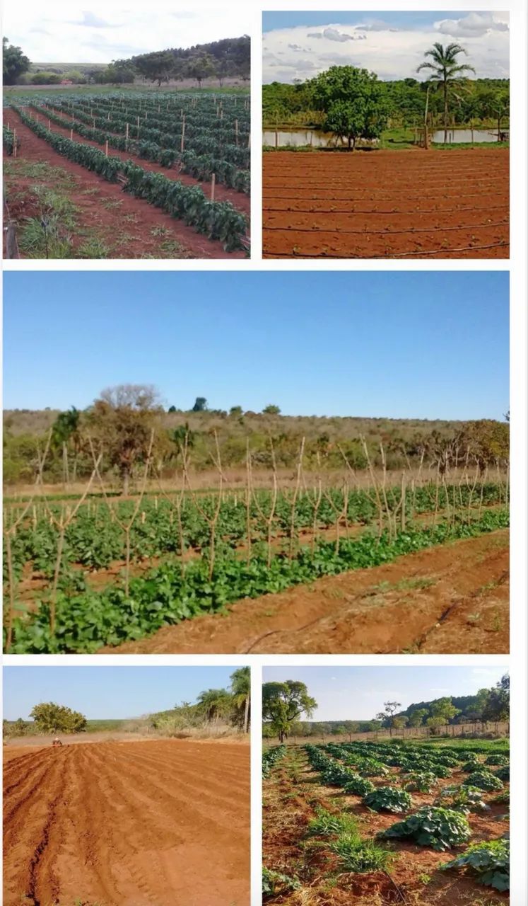 Excelente fazendinha próximo Uberlândia  - Foto 5