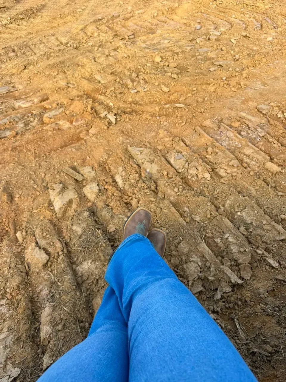 Chácara dos sonhos: 1000m² com nascente natural - Foto 2
