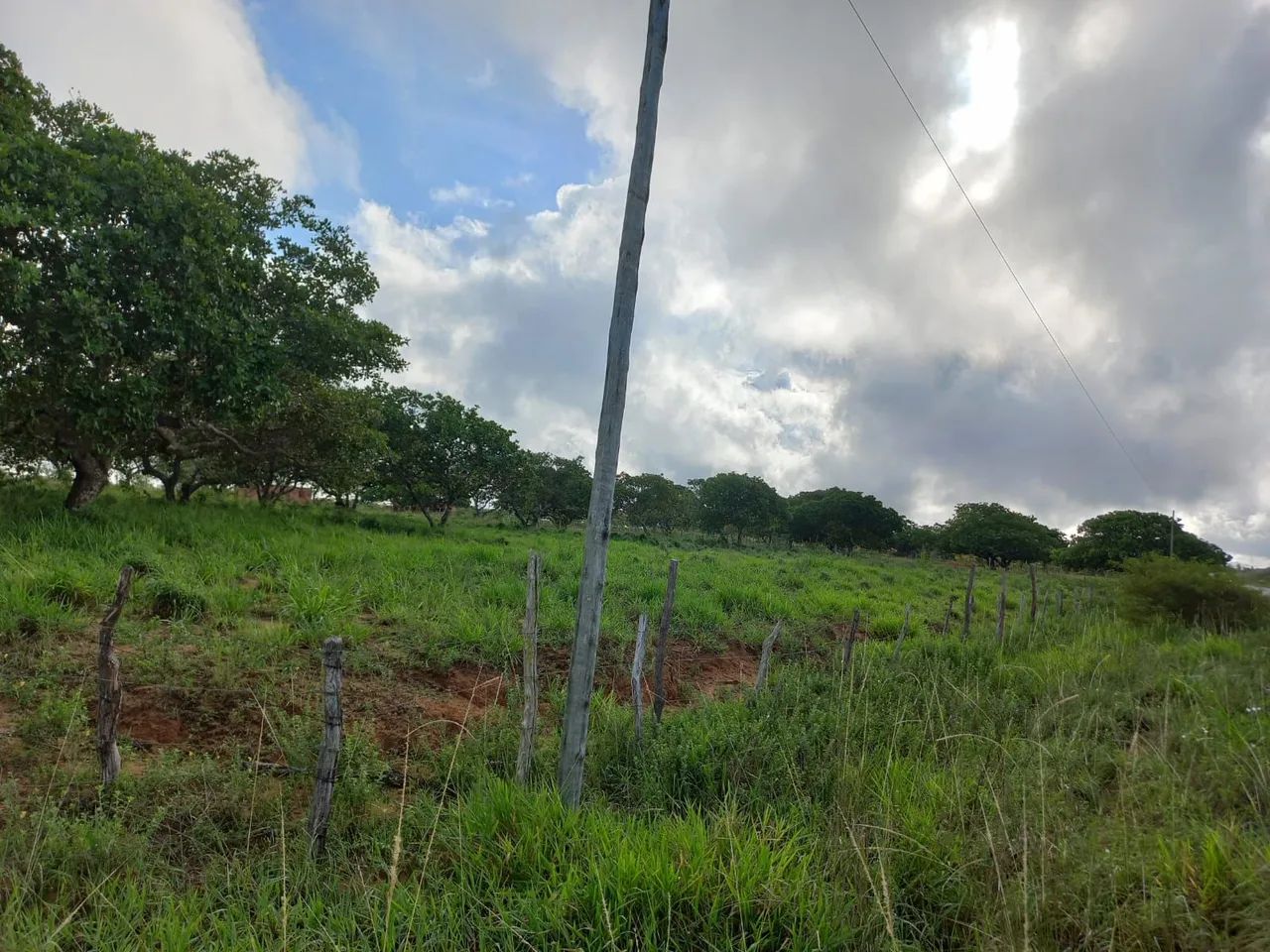 Terra à Venda - Foto 2