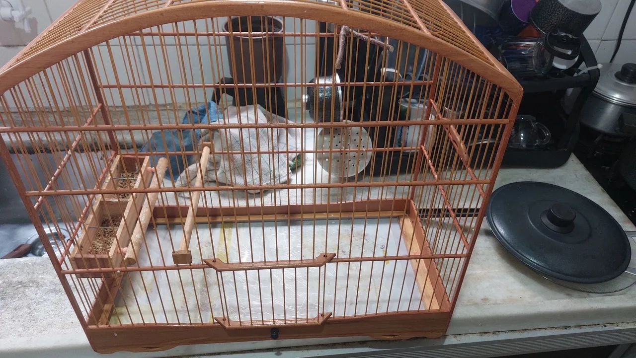 vendo gaiola muito nova  - Foto 5