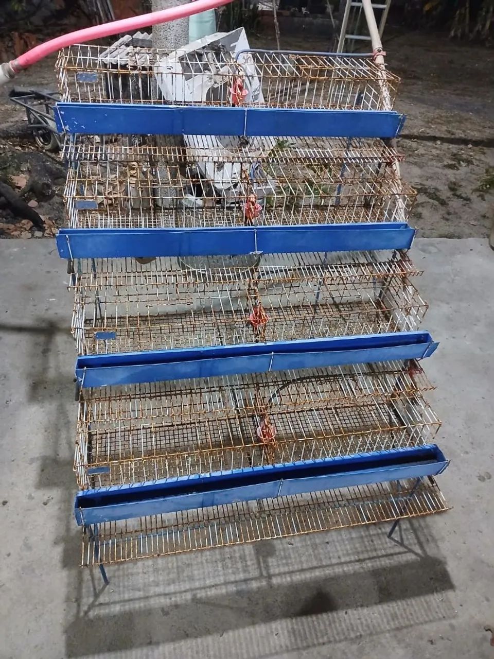 Gaiola pra codorna 