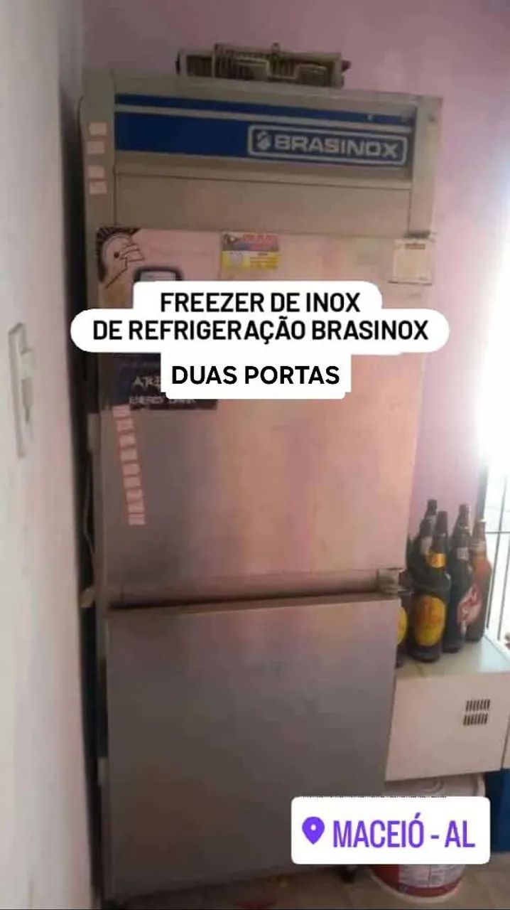 Freezer Refrigerador Vertical Brasinox