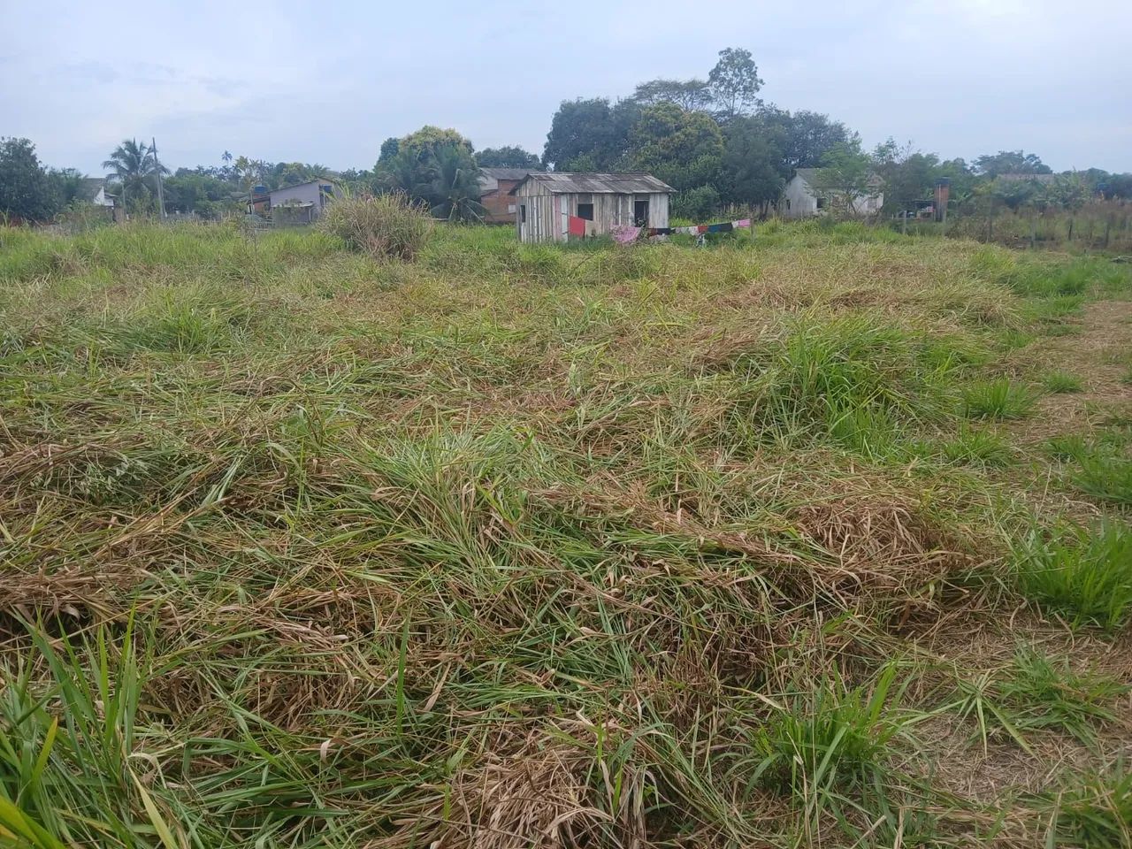 Terreno no polo Benfica vila acre 