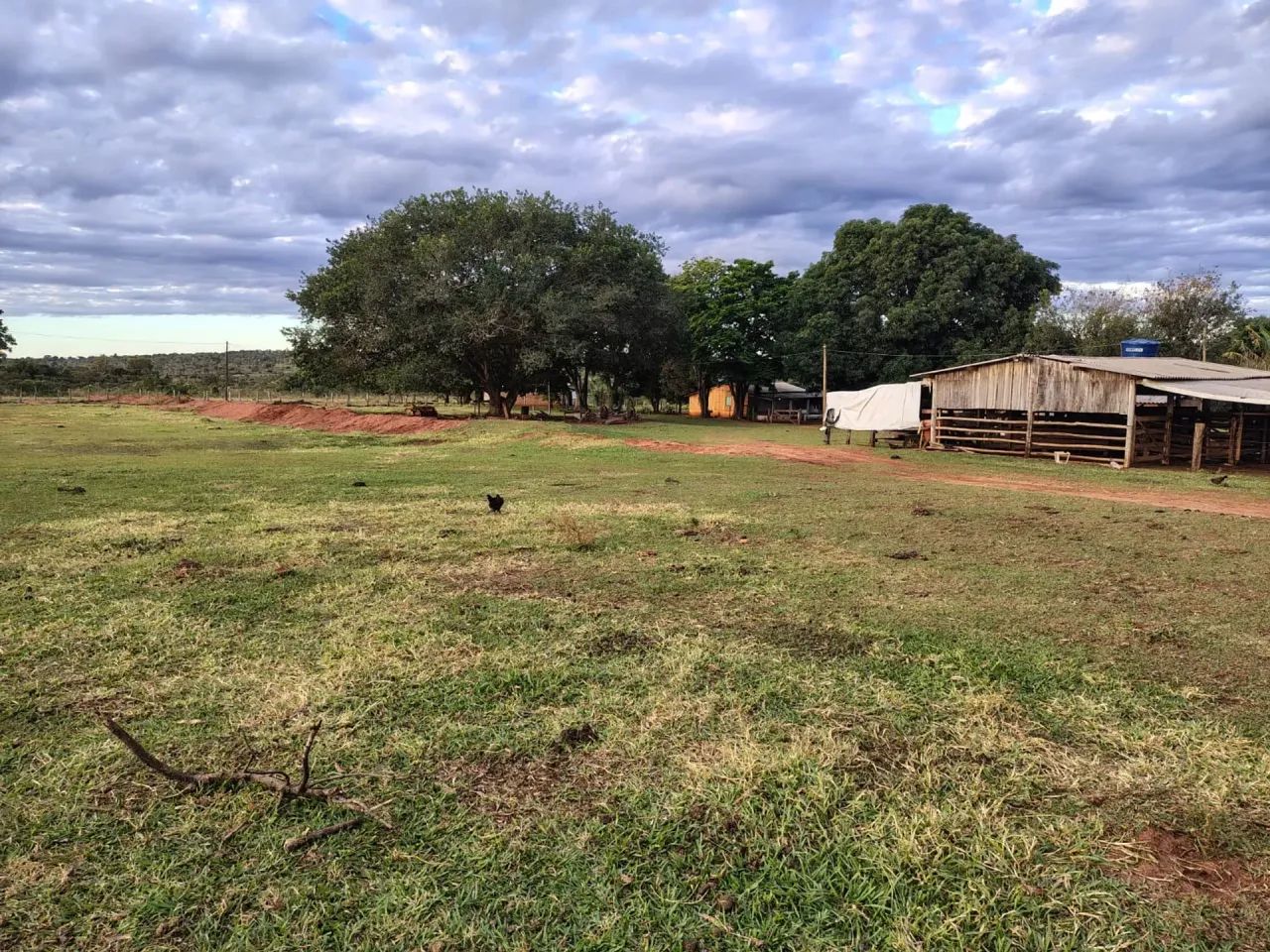 Fazenda 484 HA-  Anhanduí- Campo Grande - MS