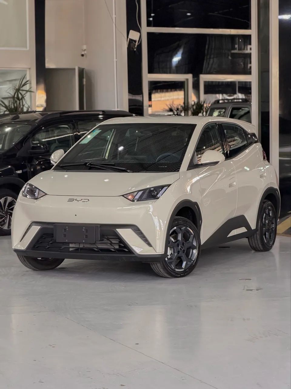 BYD Dolphin Mini (Elétrico) 2027