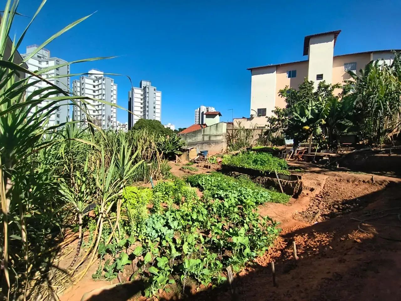 Imóvel com 720 metros quadrados ótima localização - Foto 3