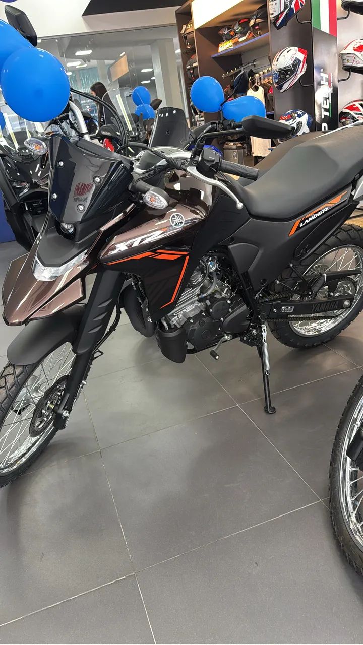 Lander 250 2026/2026 0 km - Foto 4
