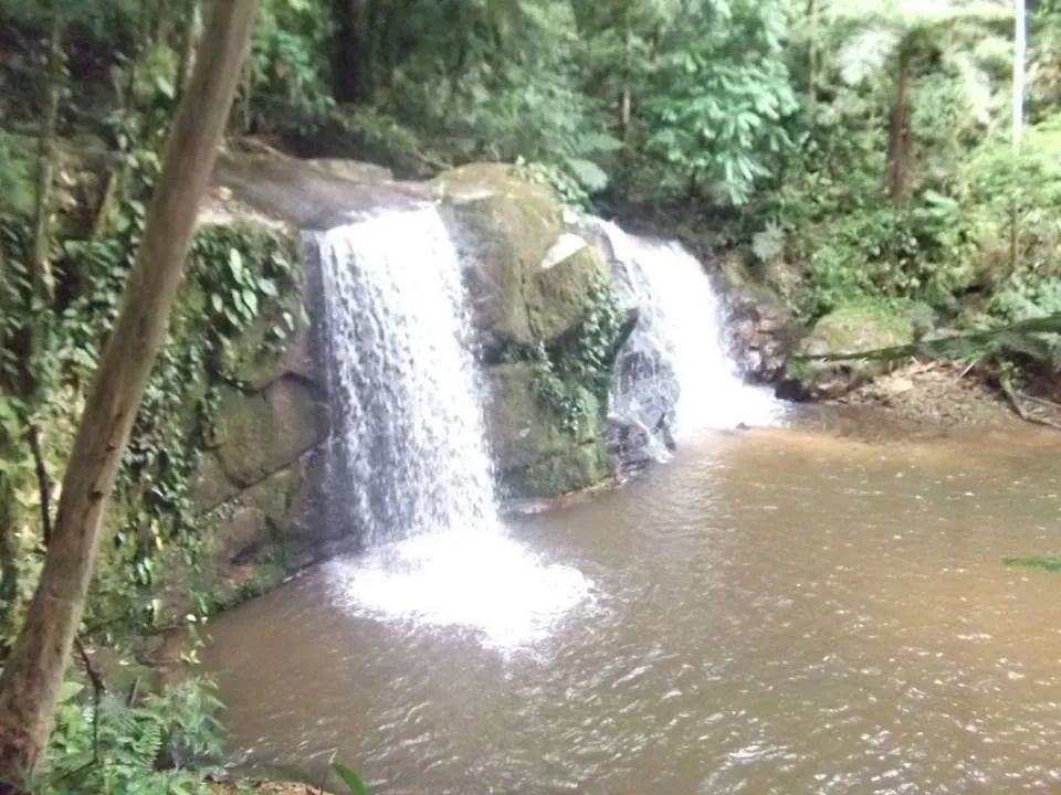 SITIO 8 ALQUEIRES COM LINDA CACHOEIRA - Foto 3