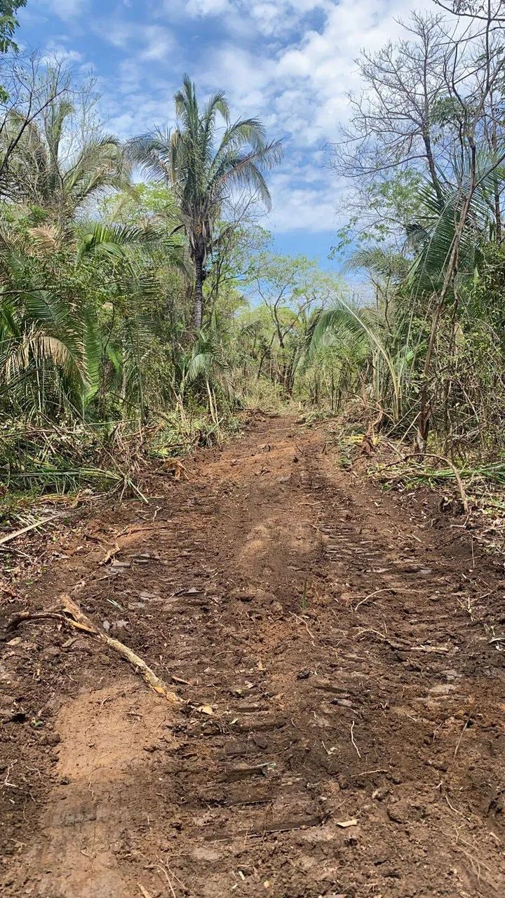 Fazenda dupla aptidão em Jaciara Mato Grosso - Foto 3