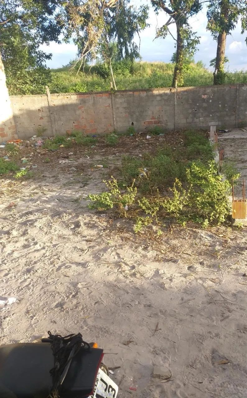 Terreno novo horizonte  - Foto 3